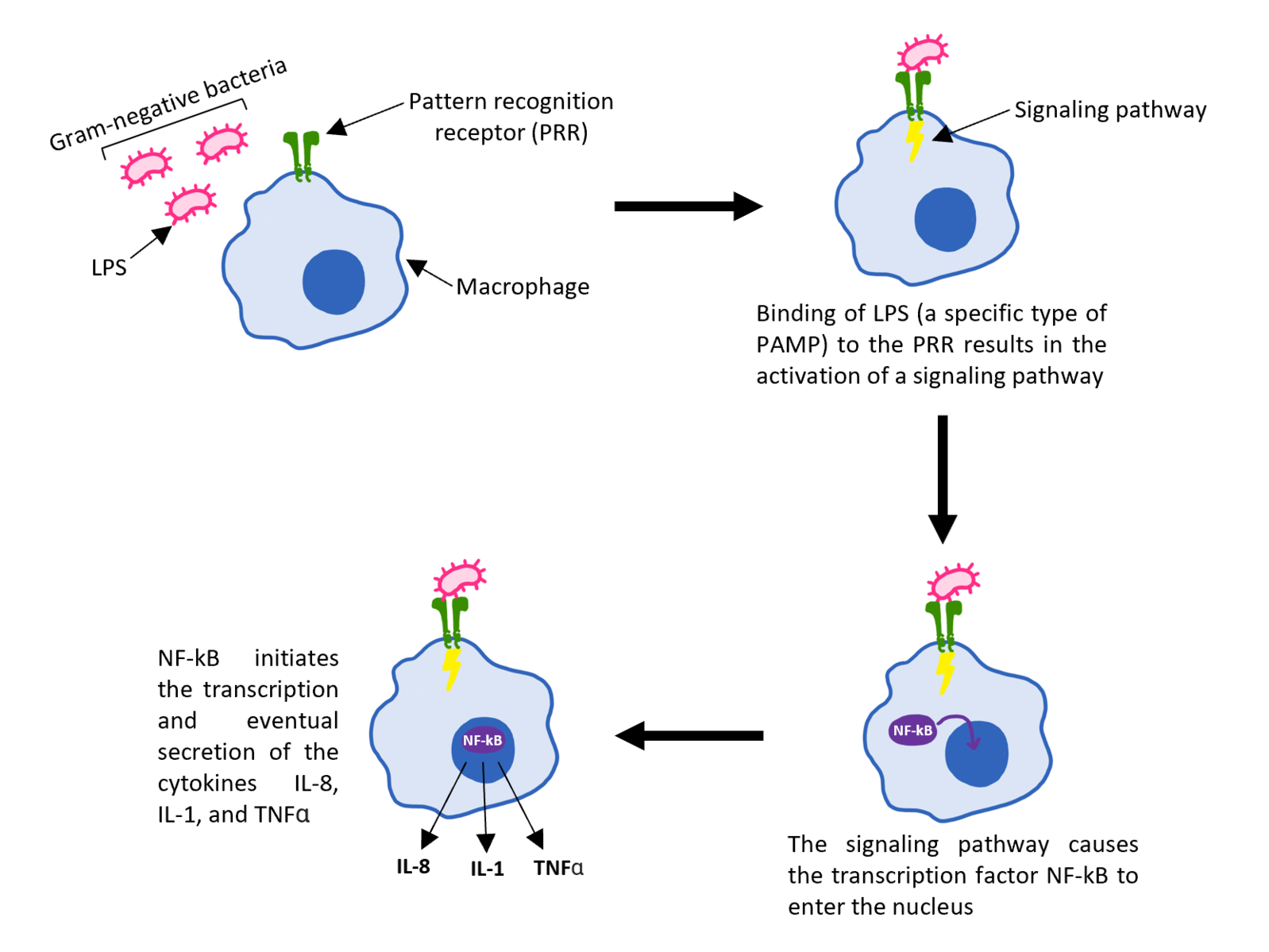 Neurofibromatosis type I - Wikipedia