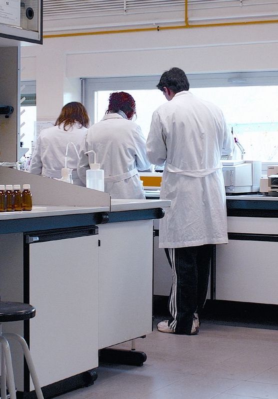 Randomized controlled experiments hint at Wikipedia’s huge real-world ...