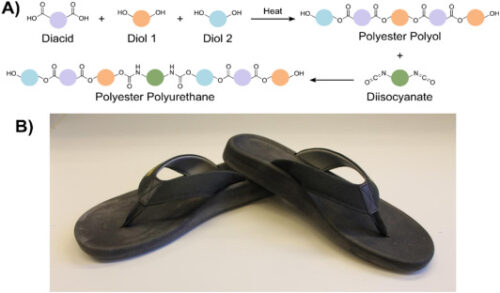 Graphic showing A) General polyester polyol and polyurethane (PU) syntheses and structure. B) Algenesis algae-based PU flip-flop prototype