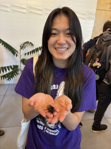 Saty Paynter-Tavares