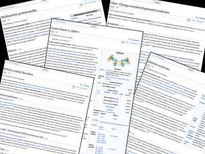 Wikipedia articles improved during RAO course 2026